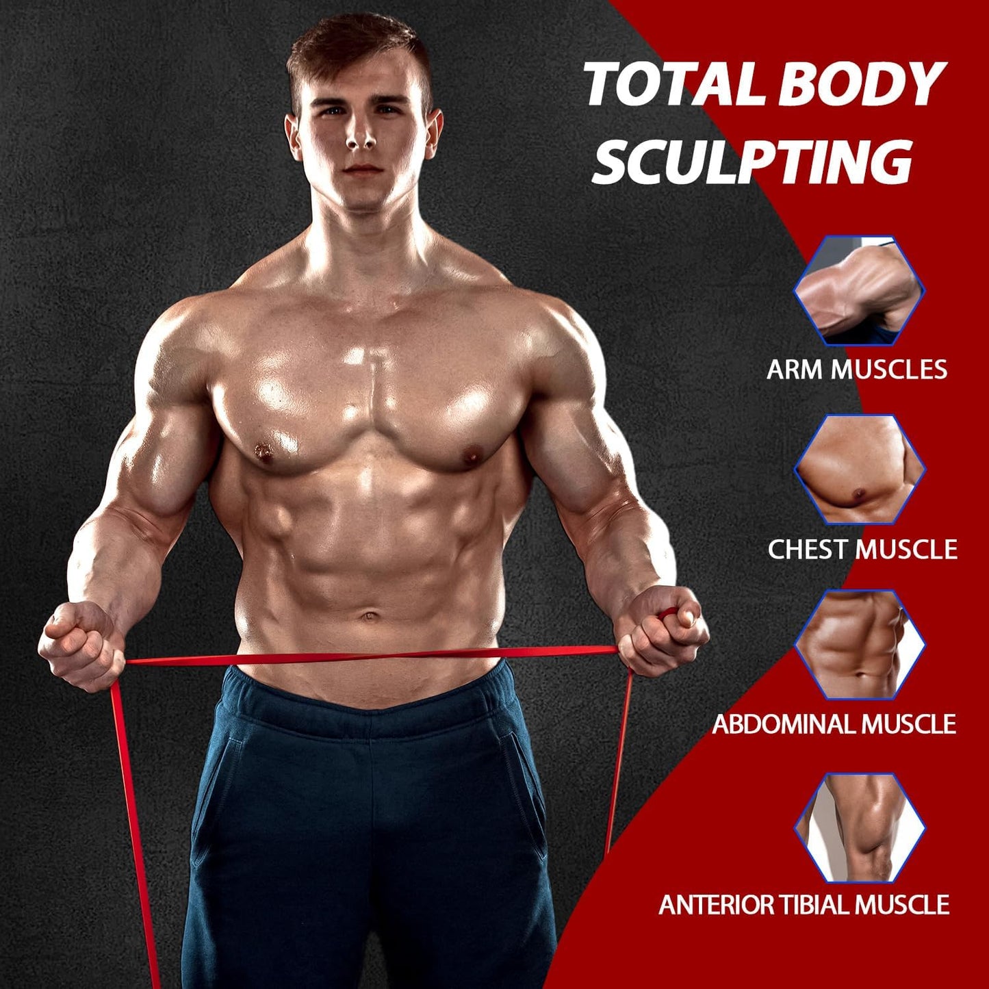 Resistance Bands Set for Pull-Up Assistance & Full-Body Training, Multi-Level Exercise Bands with Bag for Home Workouts, Physical Therapy, Strength Training (Men/Women)